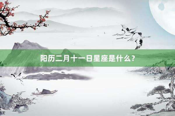阳历二月十一日星座是什么?