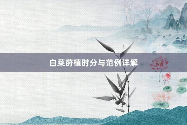 白菜莳植时分与范例详解