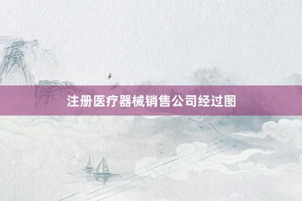 注册医疗器械销售公司经过图